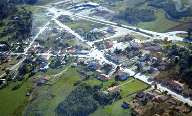 palmeira
